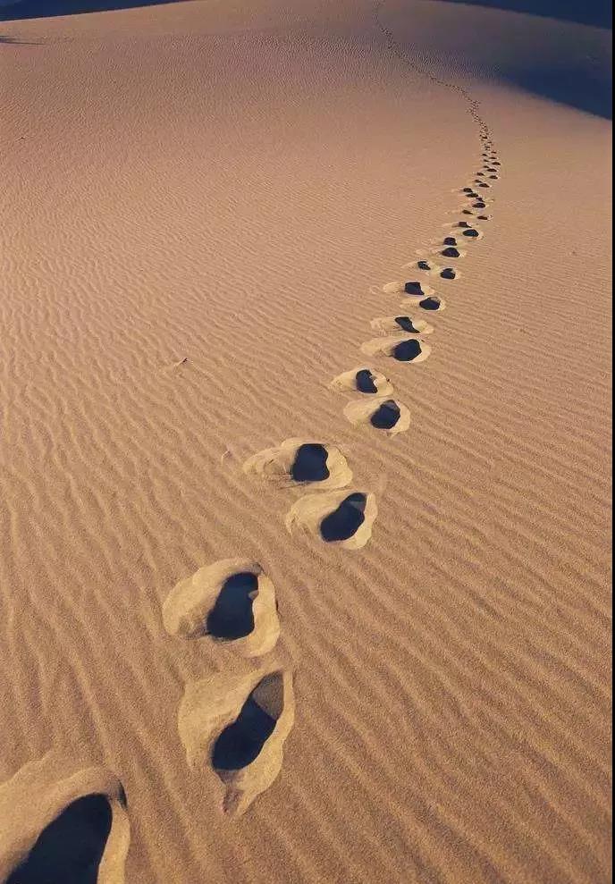 佰利乐·(中国区)有限公司官网