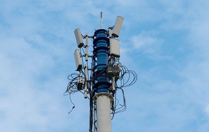 佰利乐·(中国区)有限公司官网